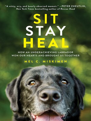 cover image of Sit Stay Heal